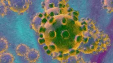 人造コロナウイルスの脅威と対策法