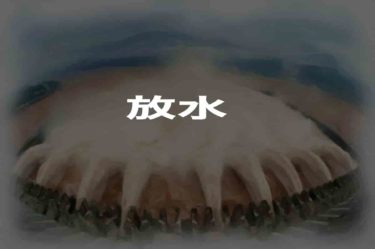 三峡ダムが無差別的に放水している