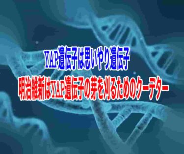 明治維新はYAP遺伝子の芽を刈るためのクーデター