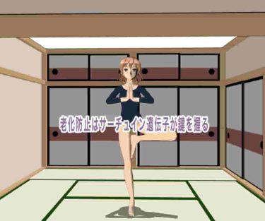 老化防止はサーチュイン遺伝子が鍵を握る