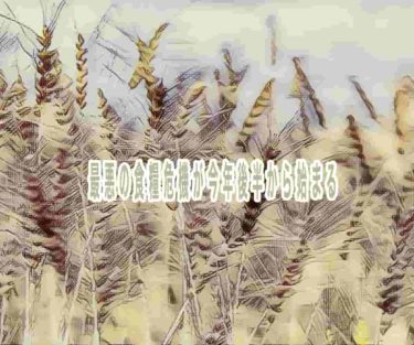 最悪の食糧危機が今年後半から始まる