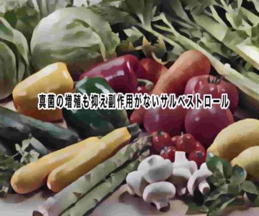 真菌の増殖も抑え副作用がないサルベストロール