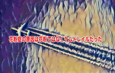 花粉症の原因は花粉ではなくケムトレイルだった