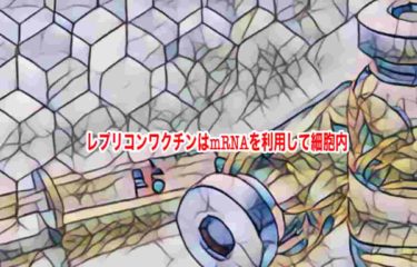 レプリコンワクチンはmRNAを利用して細胞内
