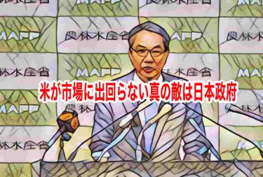 米が市場に出回らない真の敵は日本政府